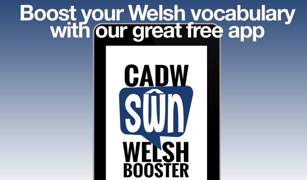 Welsh Vocabulary Booster - App on the Amazon Appstore