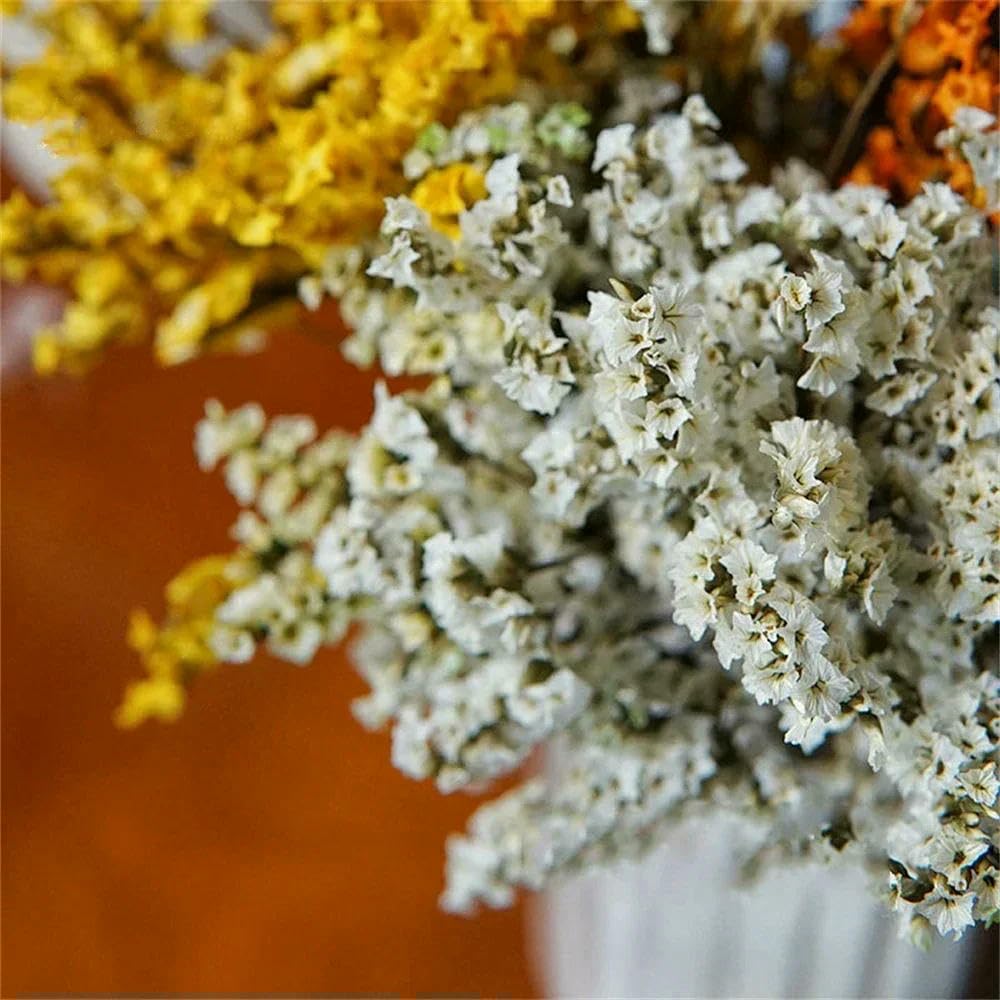 40-50 cm Herbe Cristal Naturelle séchée, véritable Fleur « Amour éternel » pour Les compositions de Mariage
