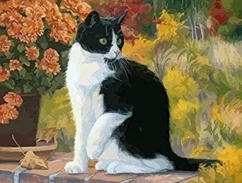 Chaozhirui Black and White Cat Pattern Cross Stitch Kit, Popular Print, 11CT, Beginner/Advanced Embroidery, Gift, DIY (40x50cm)