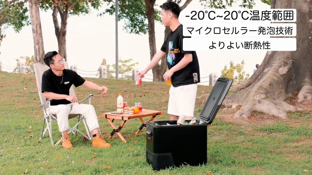 Amazon.co.jp: bamboosang 車載冷蔵庫 冷蔵庫 小型 冷凍庫:-20℃～20 