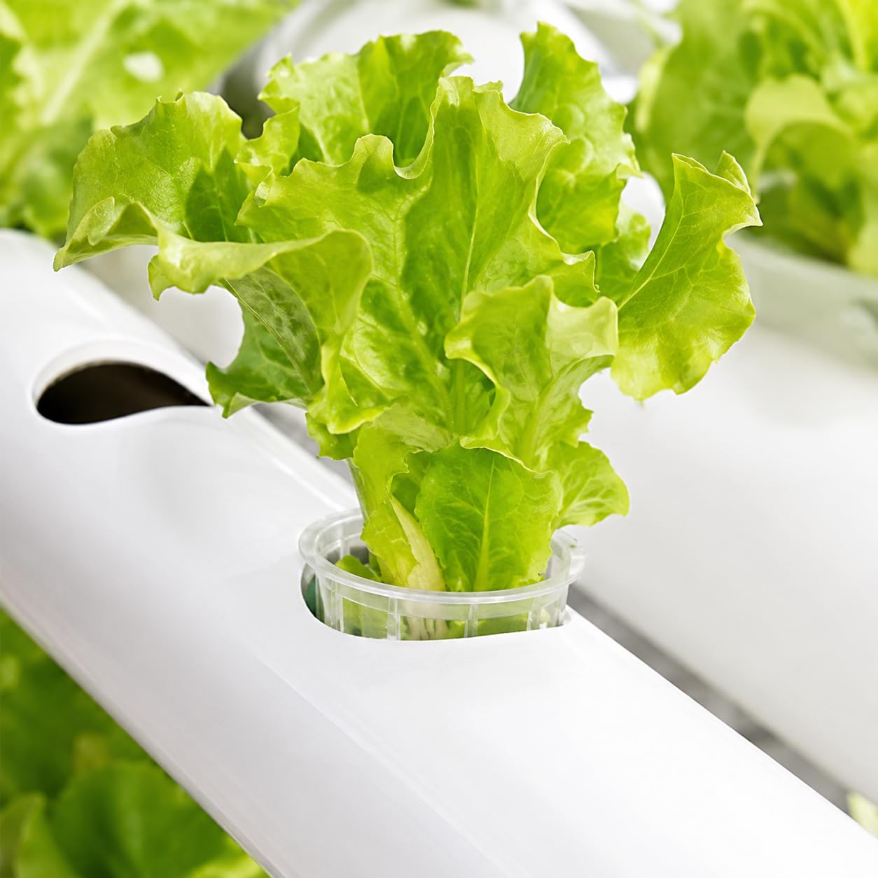 216 Site - Kit de cultivo hidropónico de 4 capas, sistema de cultivo de 24 tubos con bomba de agua para verduras, hierbas y frutas de hoja (4 capas y 20 tubos)