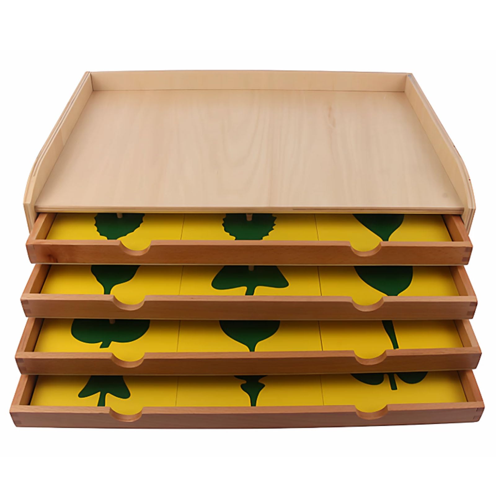ttnmrc Montessori Leaf Cabinet with 24 Leaf Shape Insets, Wooden Botany Puzzle Cabinet, Preschool Science Educational Toy