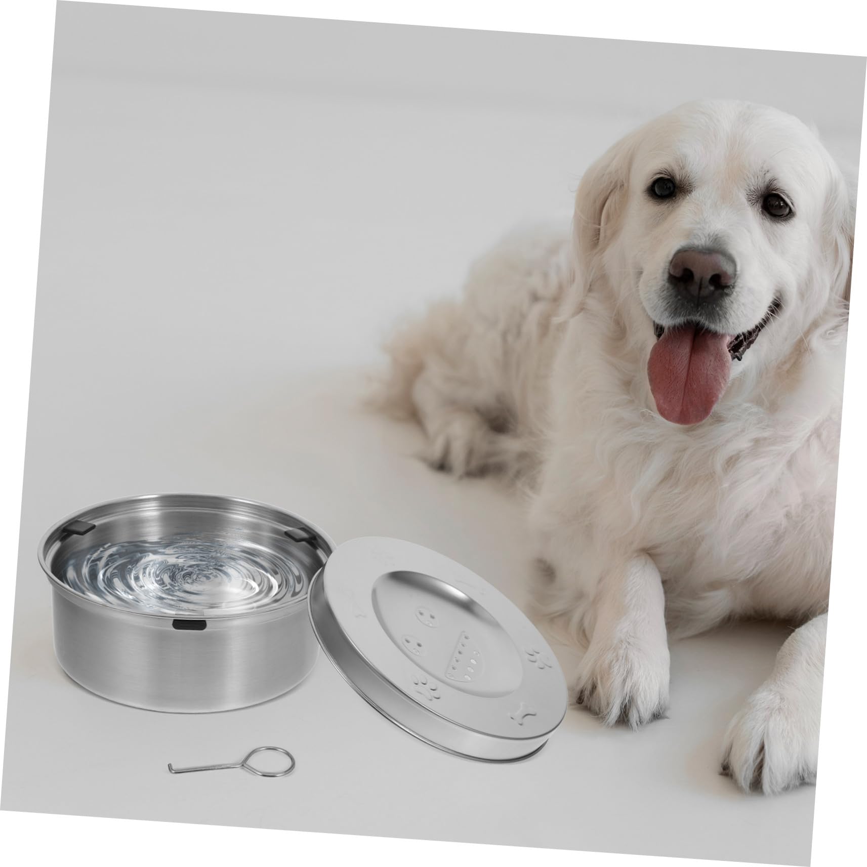 Edelstahl Napf für Hunde mit Tropffreiem Design und Schwimmender Wasserschale Großer Hunde Wassernapf zur Regulierung der Wasseraufnahme Beim Haustier