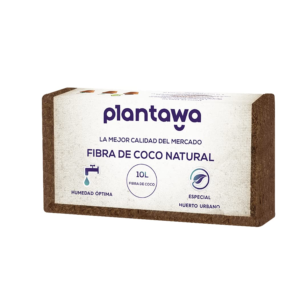 PLANTAWA Kit de Cultivo Plantas Aromáticas con Jardinera 40 x 40 x 30 cm, Huerto Urbano Hierbas Aromáticas Culinarias Planta en Jardín, Plantas Naturales de Temporada