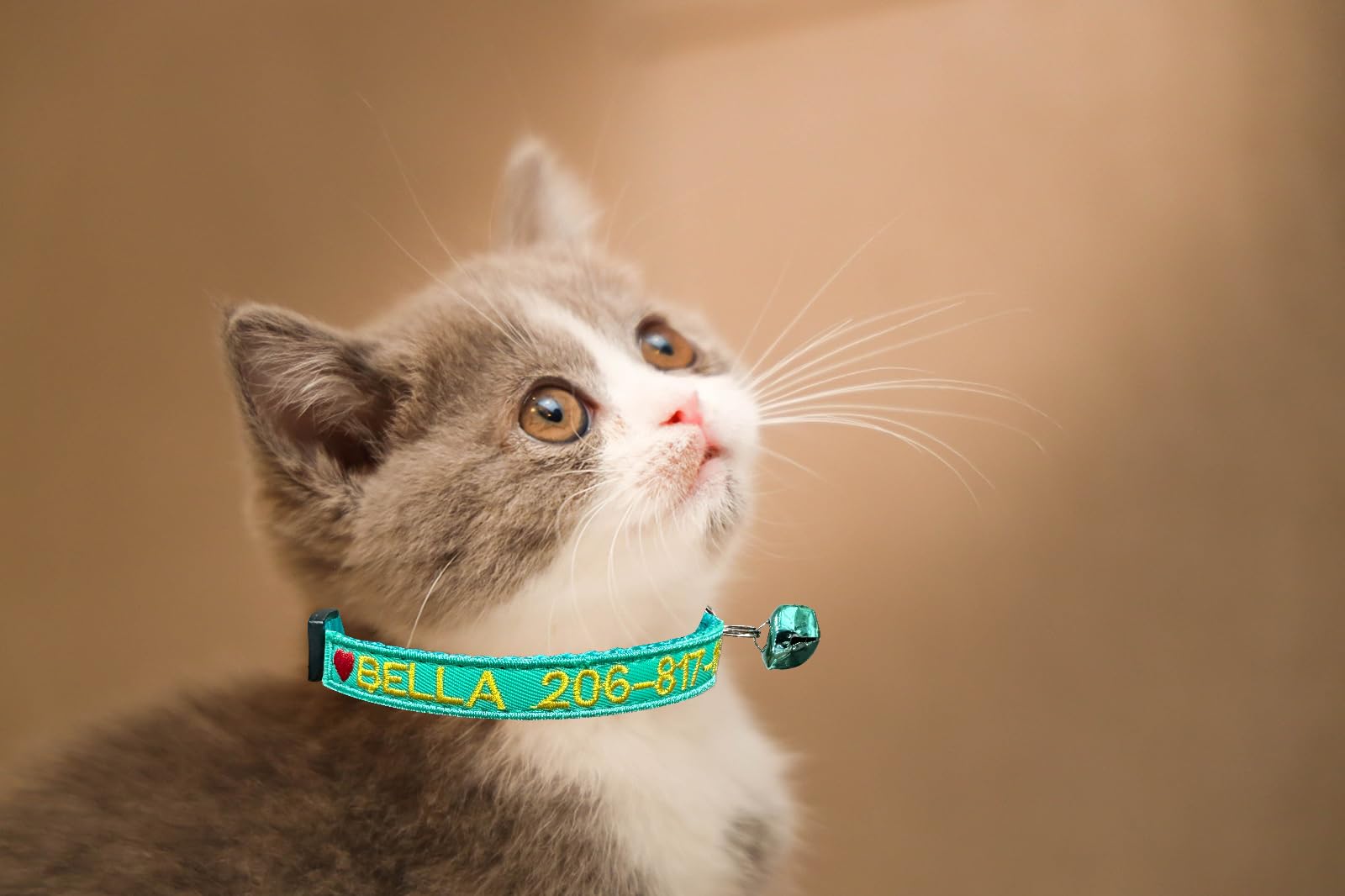 2 Pezzi Collare per gatti personalizzato, collari per gatti identificativi ricamati con nome e numero di telefono, collare in nylon per fibbia di rilascio di sicurezza con campanello