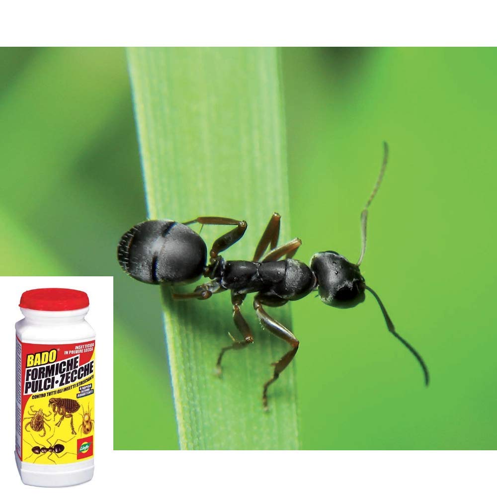 LINFA BADO FORMULA PULCI-ZECCHE GR.1000 ANTIZANZARE