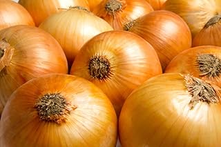 Yellow Sweet Spanish Onion Seeds, 750+ Heirloom Seeds Per Packet, (Isla's Garden Seeds), Non GMO Seeds, Botanical Name: Al...