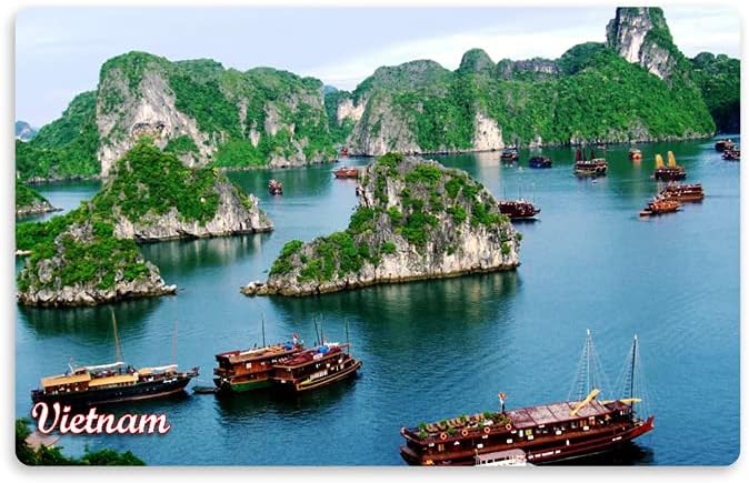 REGALOCASILA Souvenir Fridge Magnet Vietnam Country Design Print Home Decoration Kitchen Decor Accessories