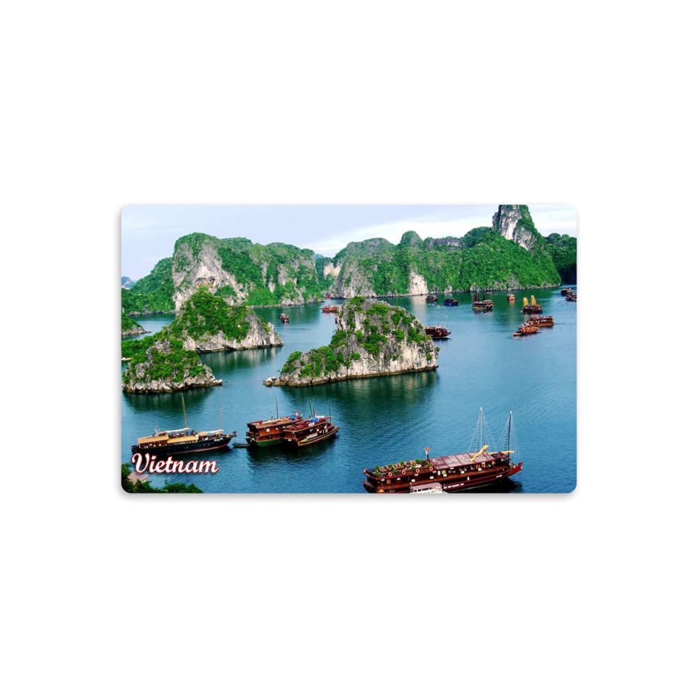 REGALOCASILA Souvenir Fridge Magnet Vietnam Country Design Print Home Decoration Kitchen Decor Accessories