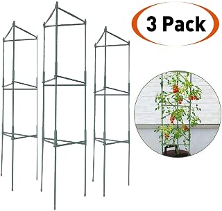 Amazon.es: Soportes para plantas: Jardín