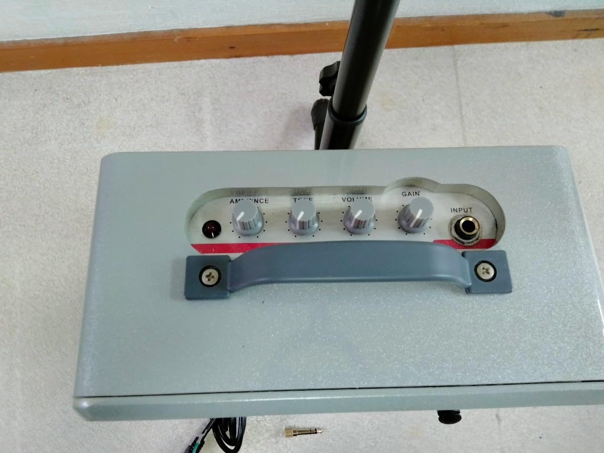 ZT Amp Lunchbox LBG1S 200W Compact Power Output : Amazon.ca: Home