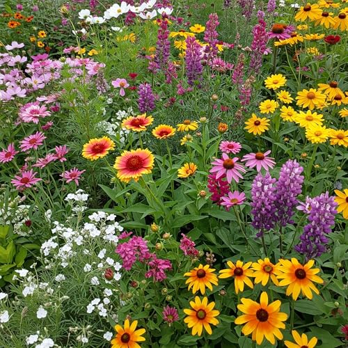 Image of Ferry-Morse Cut Flower Bulk Wildflower Seeds, 280,000+, 1 lb