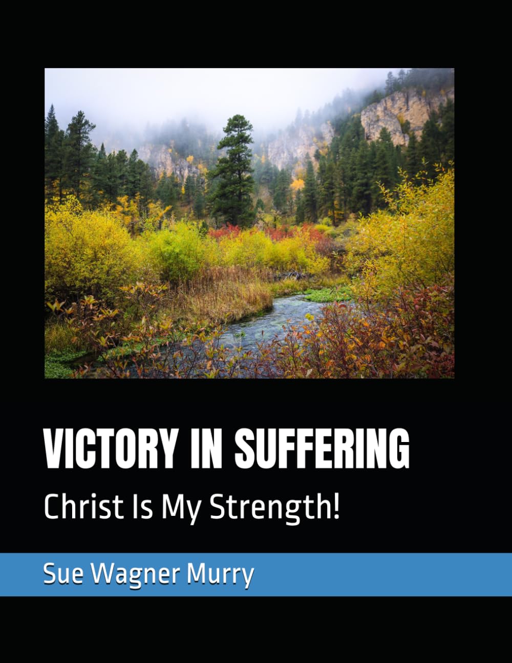 VICTORY IN SUFFERING: Christ Is My Strength!