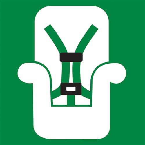 Car Seat Check Form
