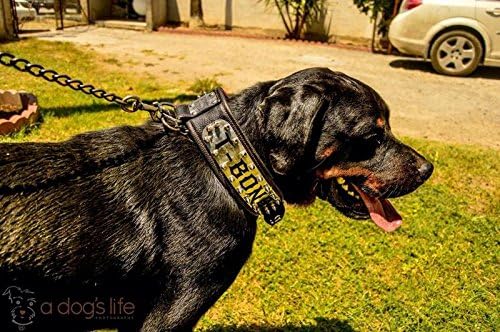 Miniatura 3 de Bestia Collar de perro personalizado para perreras, solo razas grandes. Tamaño L-XXL, 2.8 pulgadas de ancho. Acolchado. Fabricado en Europa