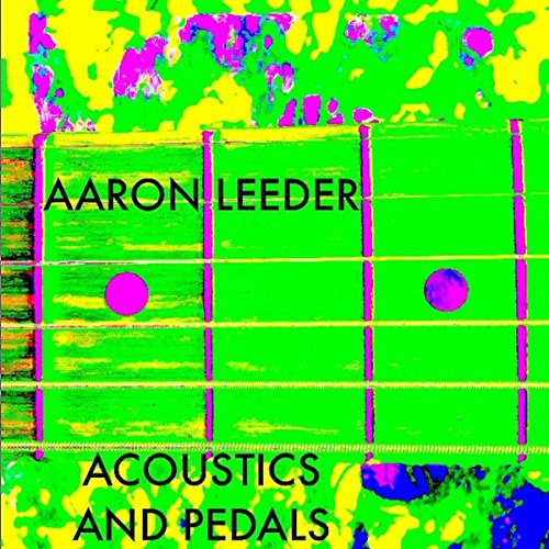 Best Pedals For Acoustic And Electric Guitar Expert Review The