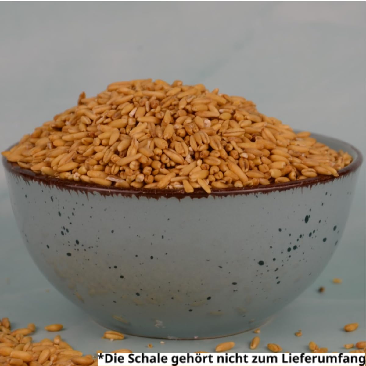 Bio Nackthafer 25 kg | Getreidekorn für Frühstück, Müsli, Porridge, Flockenquetsche und Backwaren