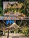 Twinkle Star 100 LED String Light for Wedding Party Bedroom,33 ft for Plug in String Lights 8 Modes Waterproof for Indoor Outdoor (*Warm White, 33 ft)