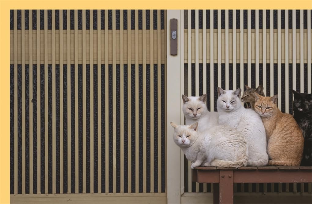 Neko Cats of Japan