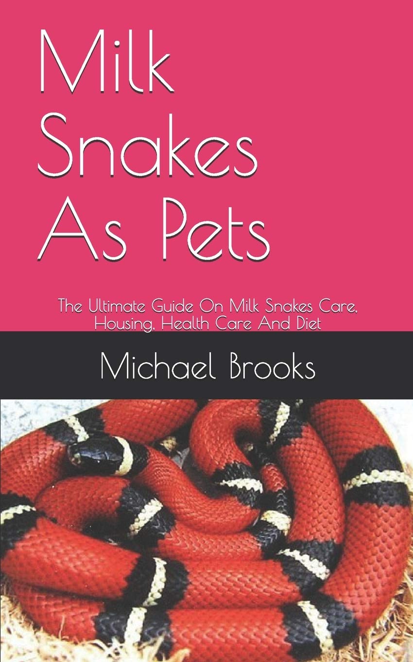 Buy Milk Snakes As Pets The Ultimate Guide On Milk Snakes Care