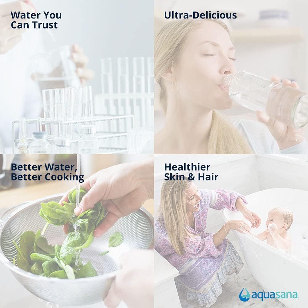 Aquasana EQ-PFC.35 Repuesto para sistemas de filtro de agua para toda la casa, 1 unidad (paquete de 1), blanco