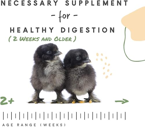 Miniatura 11 de Manna Pro Suplemento digestivo de grano de pollo para aves de corral y razas de bantam de crecimiento joven, sin ingredientes artificiales ni