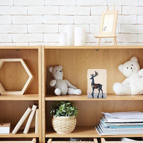 Miniatura 6 de FINGERINSPIRE Vitrinas de plástico para minifiguras de 8.3 x 8.3 x 12 pulgadas, caja de exhibición transparente a prueba de polvo con base negra