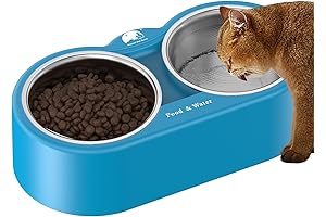 Heated Food and Water Bowl for Outdoor Cats: Warm Comfort in Winter