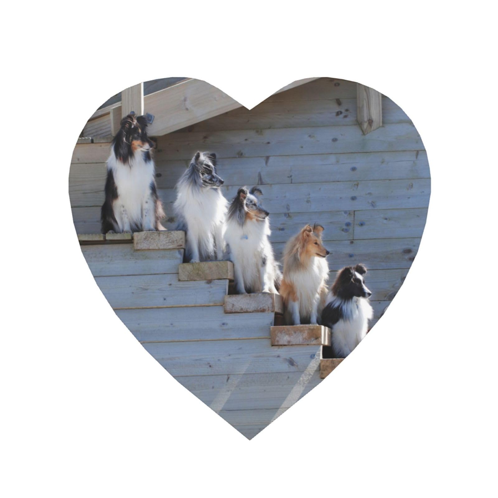 Hcmuxisen As Picture Dogs Border Collie Shetland Sheepdogs Alaskan, Heart Shape Soft Magnetic Fridge Magnets Magnetic Refrigerator Sticker 1Pc