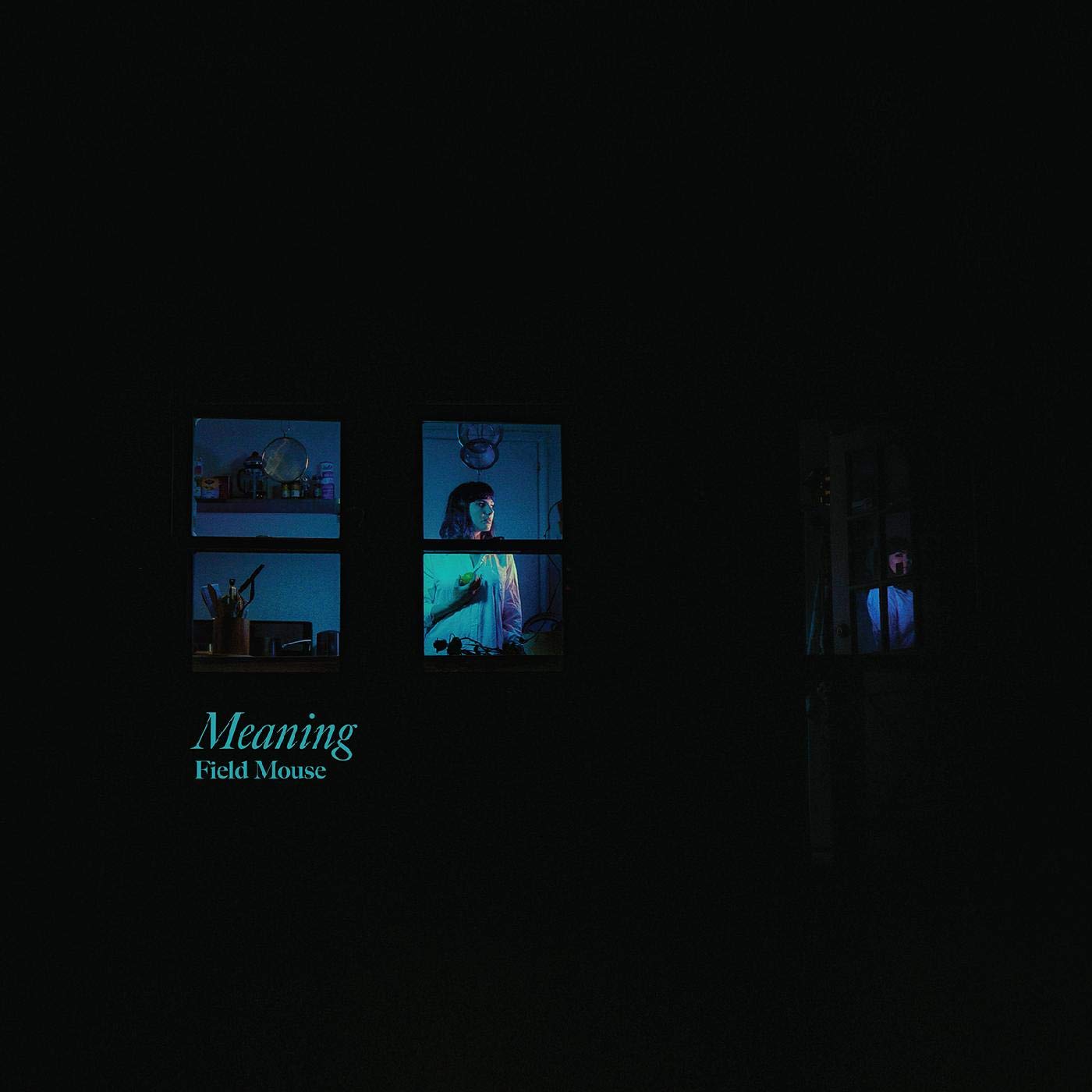 Meaning [VINYL]