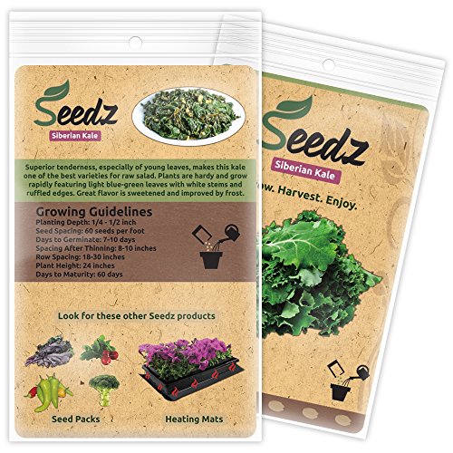 Organic Kale Seeds, Appr. 550, Siberian Kale, Heirloom Vegetable Seeds, Certified Organic, Non Gmo, Non Hybrid, Usa #TOP2