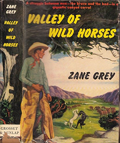 VALLEY OF WILD HORSES B000EQM4C2 Book Cover
