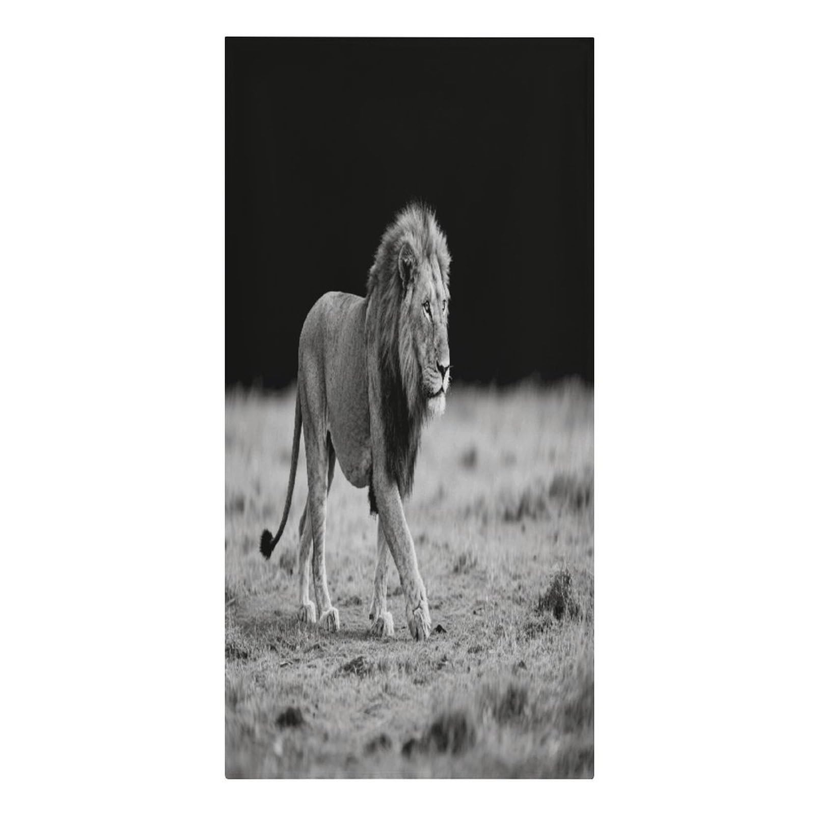 VstaDank Wild Animal Lion Beach Towel Vacation Essentials Sand Free Soft Quick Dry Swim Towels 61"x30" Modern Extra Large Towels Lightweight Microfiber Beach Towel for Swimming Pool