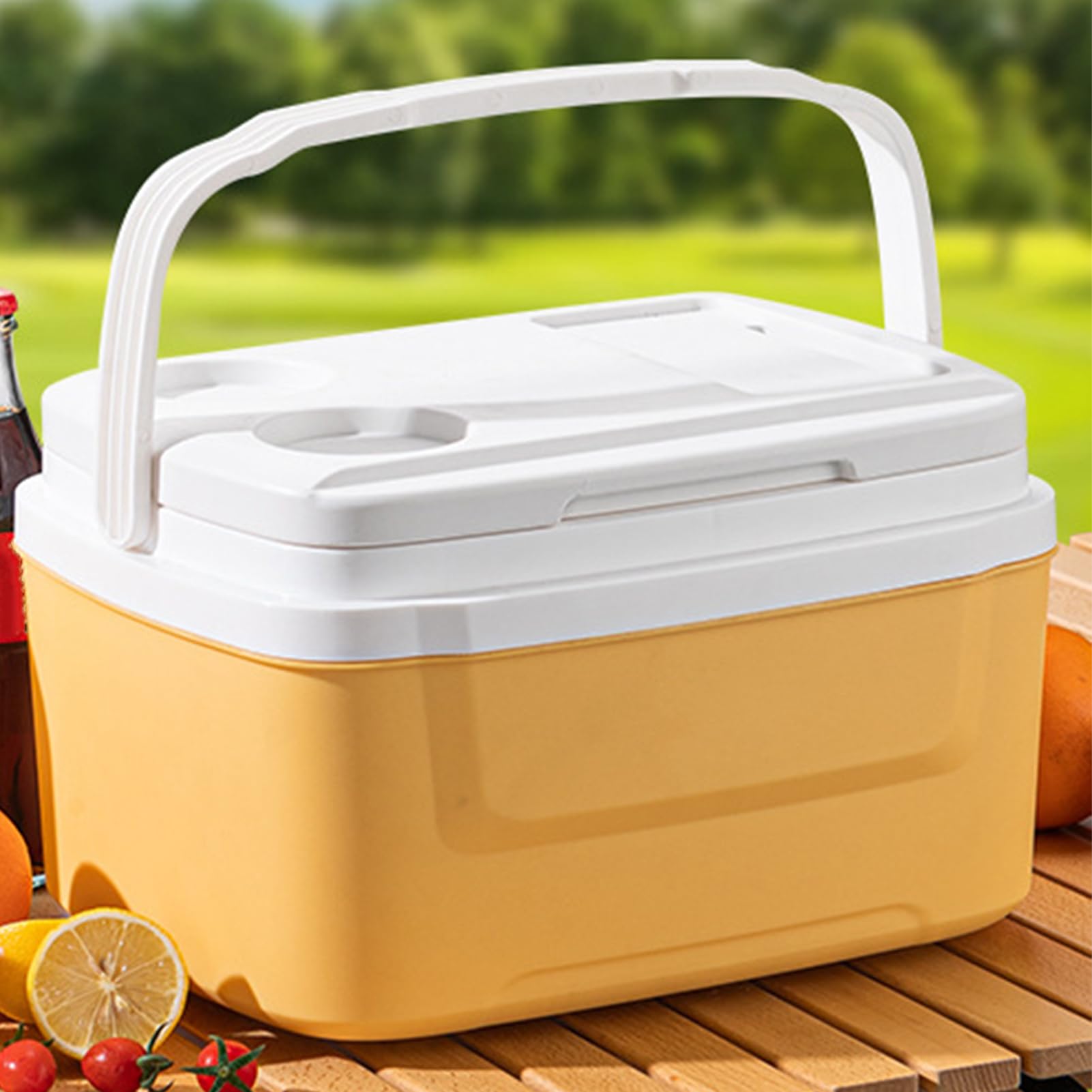 Cooler Da Campeggio Frigorifero Portatile Contenitore Pranzo Cibo