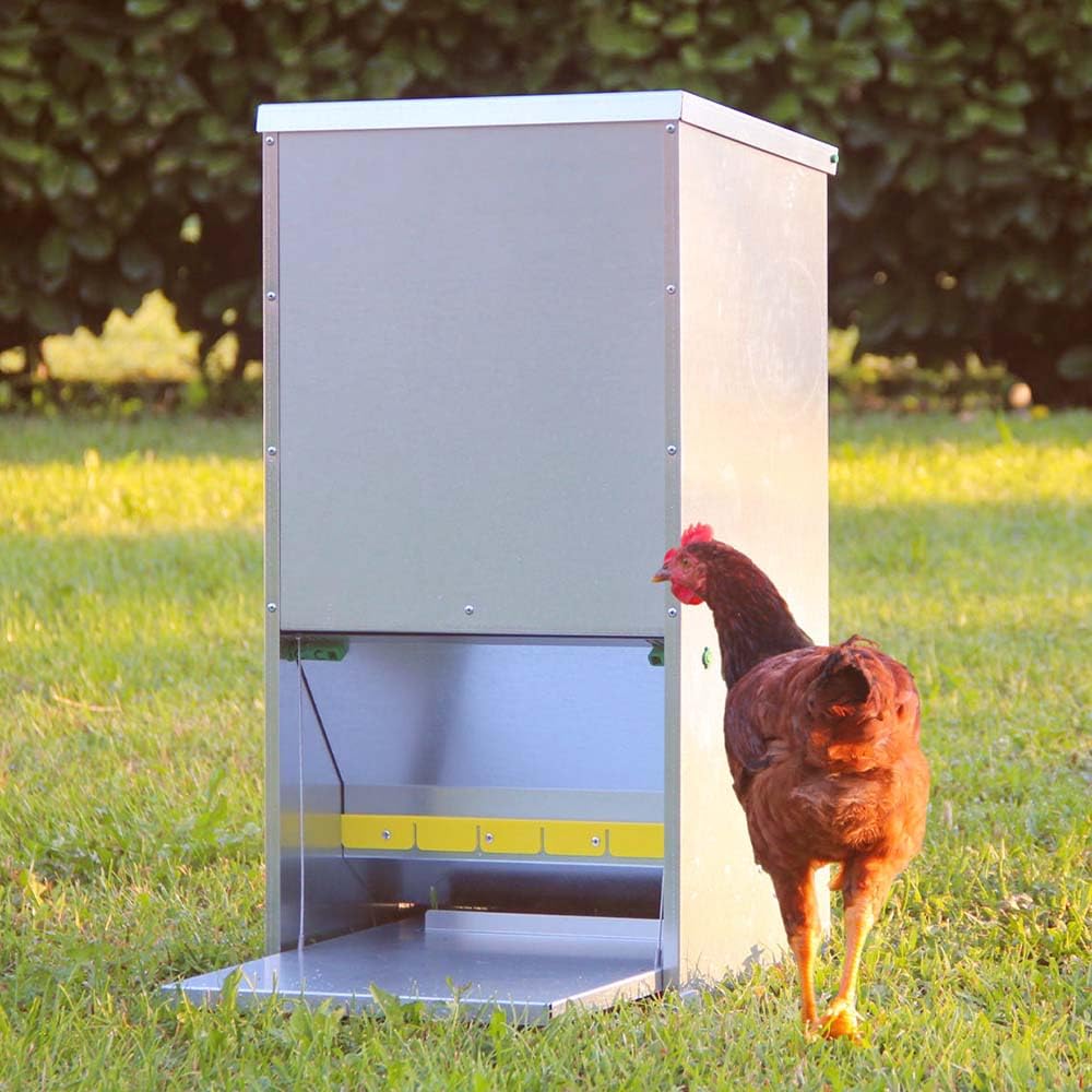 Mangiatoia a pedale in lamiera zincata per polli ALMA basica - capacità 11 litri