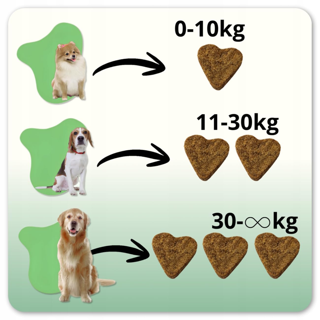 ProBio DOG FORTE 60 Soft Chews – Probiotico Anti-Prurito per Cani | Grattamento, Leccamento, Supporto Intestinale, Digestione, Immunità e Pelle Sana | Bacillus velezensis, MOS+FOS, L-Glutammina