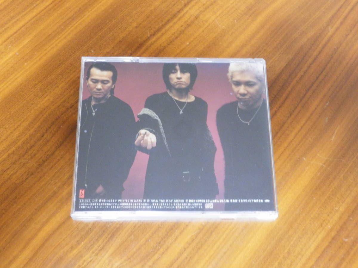 ROSSO BIRD チバユウスケ 照井利幸 - : レコードLP 公式通販 ⁄ CD | of 