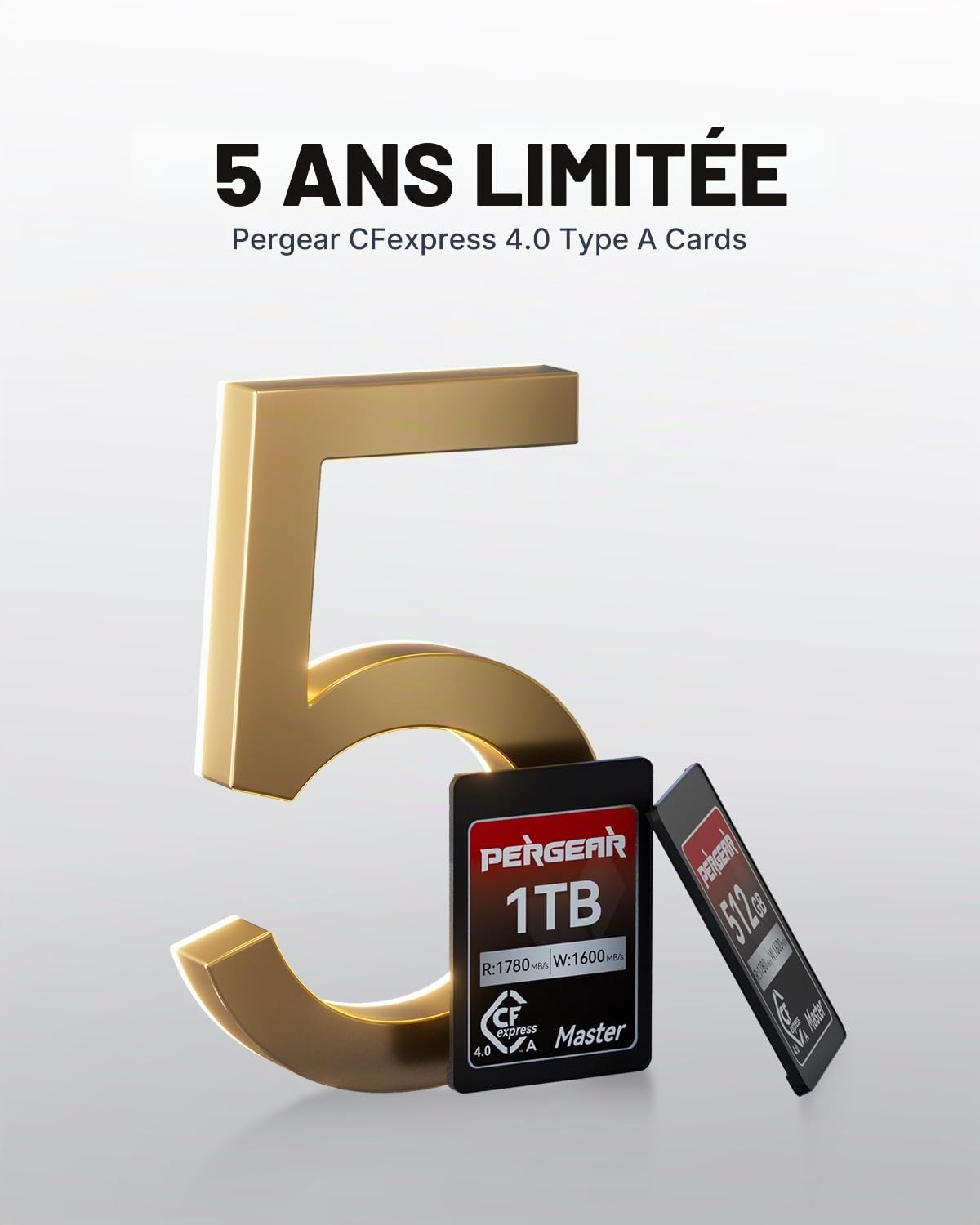 Pergear Carte mémoire CFexpress 4.0 type A 256 Go, 1780 Mo/s lecture, 1600 Mo/s écriture, 4K 120P, 8K 30P (Master Series), Sony Alpha et FX