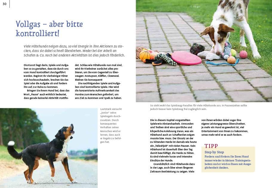 Spiele und Action für ausgeglichene Hütehunde: Border Collie, Australian Shepherd und Co. rassegerecht auslasten