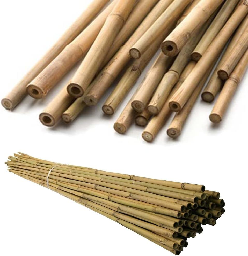 AHS Natural Bamboo Canes - Strong Heavy Duty Bamboo Plant Support ...