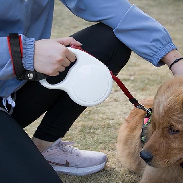 Foto 6 de 8 de Correa Corta para Perros, Correa de Tráfico para Entrenamiento de Mascotas