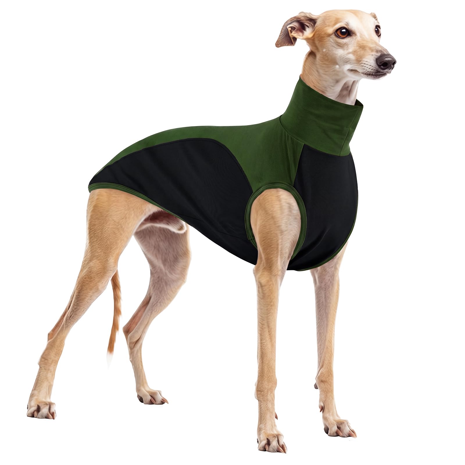Whippet Clothes, Soft Cotton Italian Greyhound Jumper Color-Blocked Pajamas Stretchable Pullover Sweatshirt Stylish(Army green, M) โ image 1