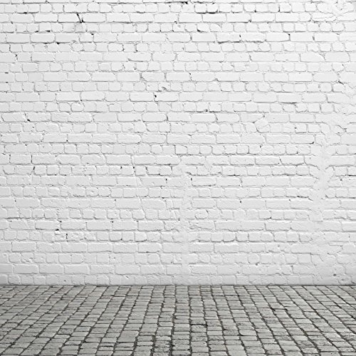 Party Decoration Backdrop 10x10ft Vintage White Brick Wall Photo ...