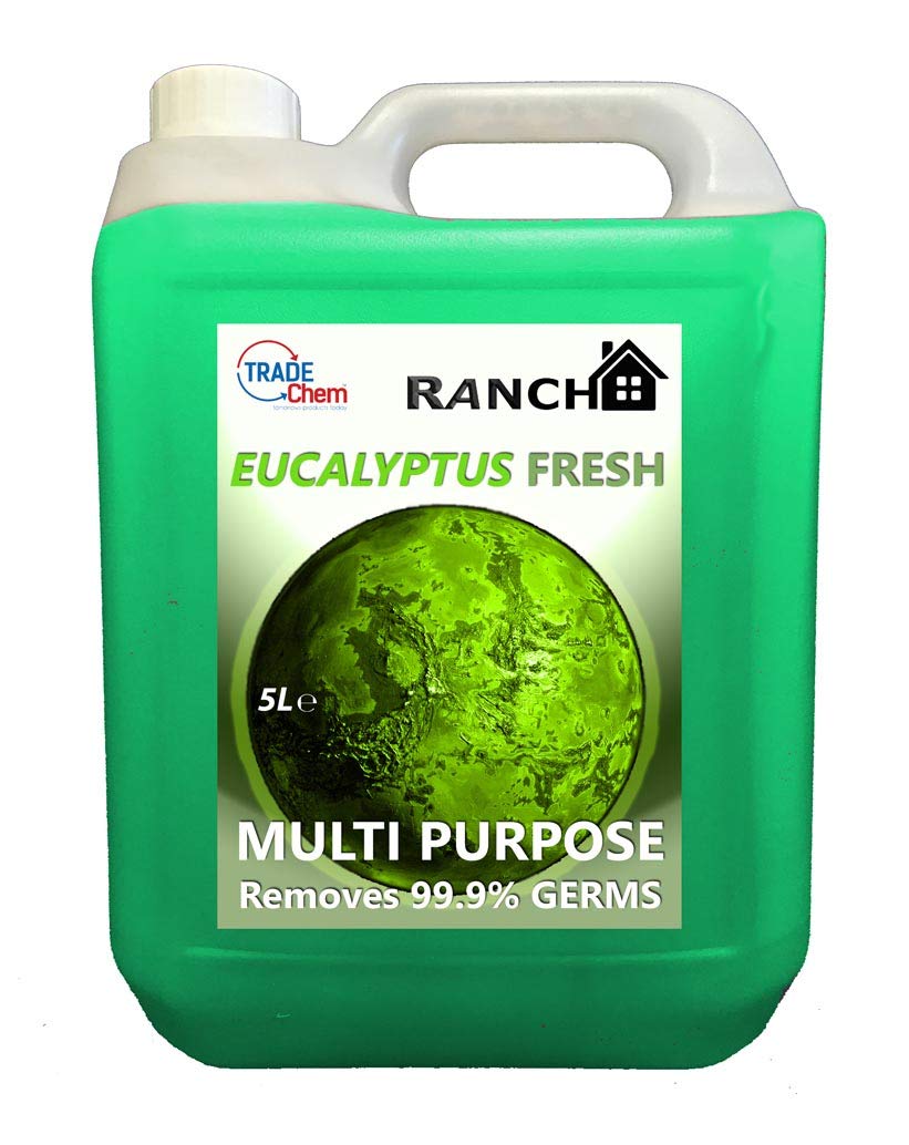 Multi Surface Cleaner - Eucalyptus 5L