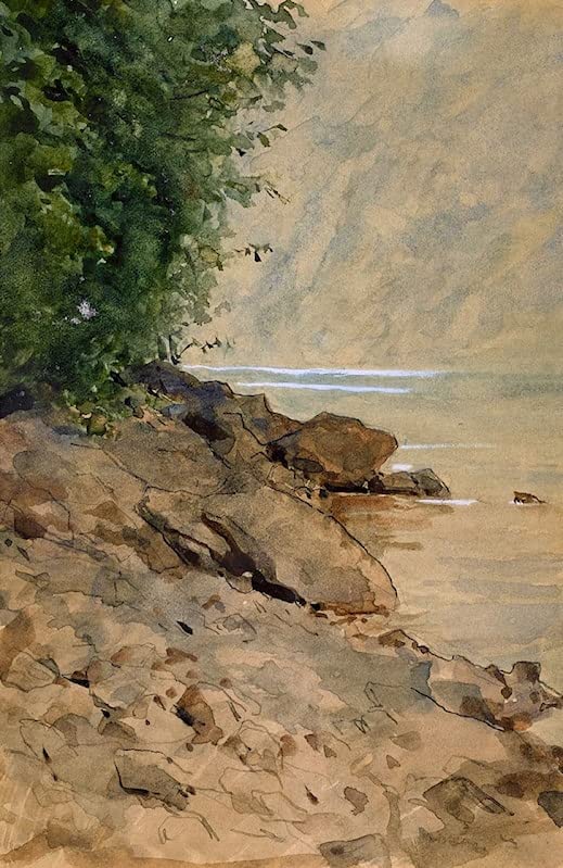 Impression d'art Albert sur toile rivage estival de qualité galerie