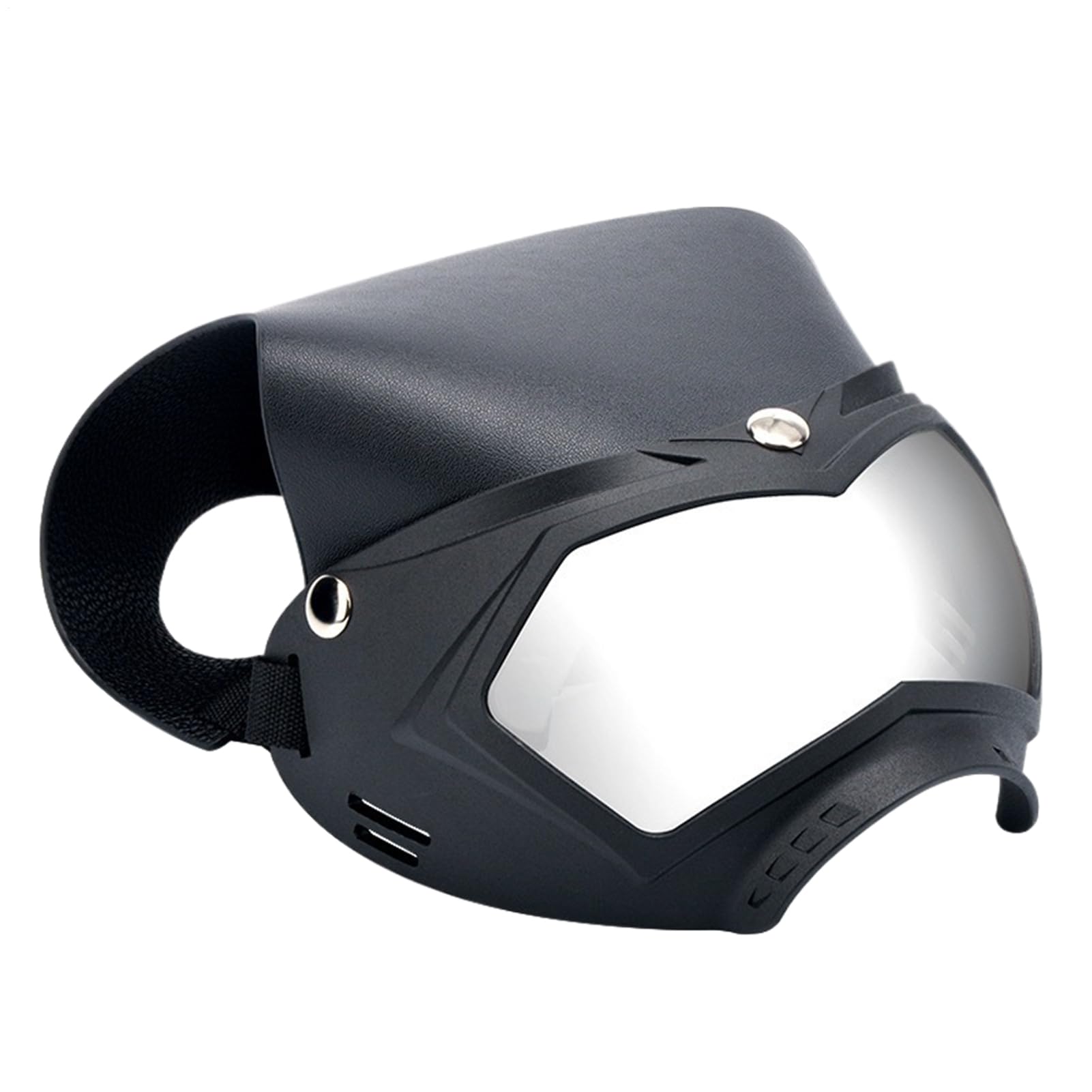 Lunettes pour chien contre le vent et le soleil en randonnée