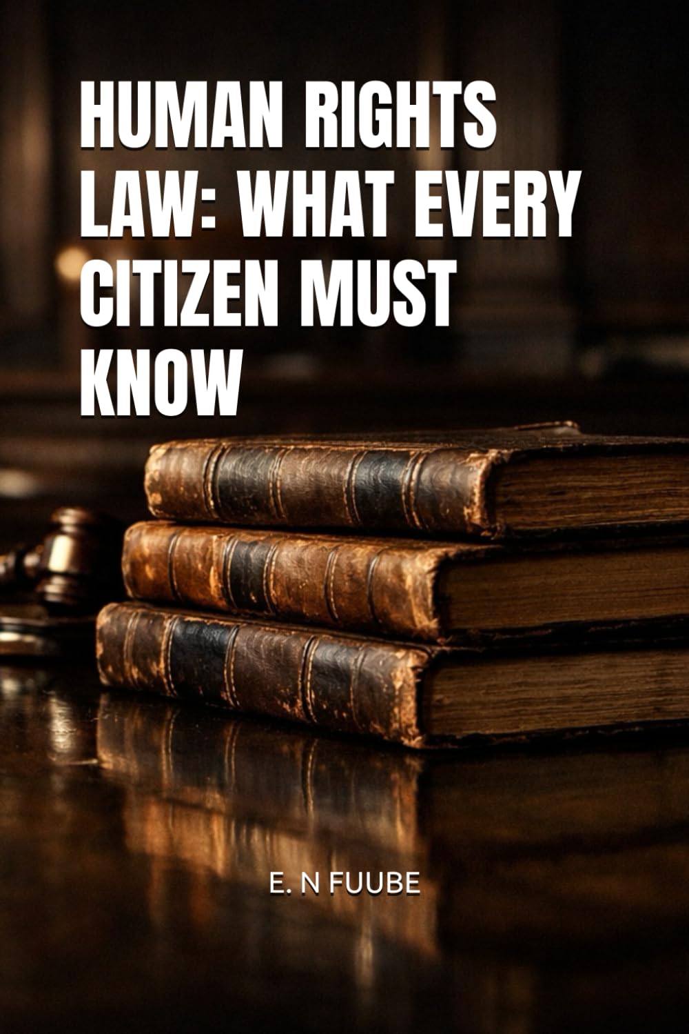 HUMAN RIGHTS LAW: WHAT EVERY CITIZEN MUST KNOW