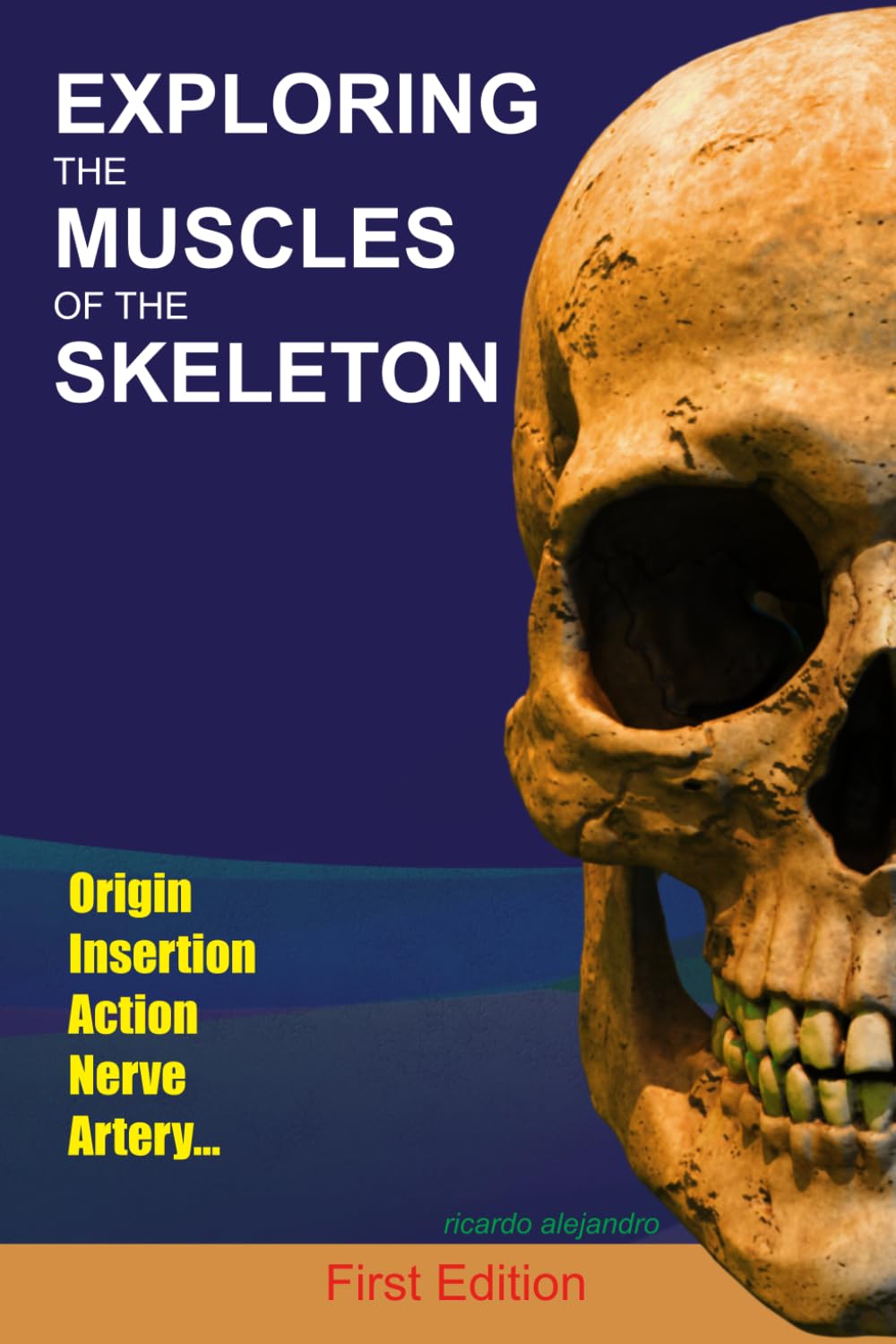 Exploring the Muscles of the Skeleton: Origin and Insertion, a Pocket Guide to Muscle Anatomy for Medical and Nursing Students