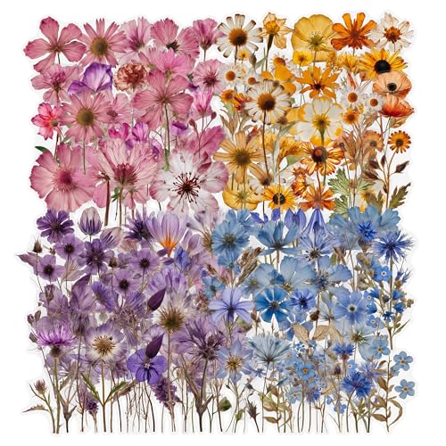 NEDIE 200 Pcs Dried Flower Stickers for Scrapbook Supplies Pressed Flower Stickers Natural Floral Botanical Decals for Junk Journal Supplies Scrapbook Stickers Bullet Journals Planner Resin Art