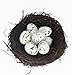 Birds Nest Easter Rattan Nest Decorating, Artificial Natural Bird Nest Kit for Easter Crafts Home Garden Decor Wedding Party Decor Easter Decor